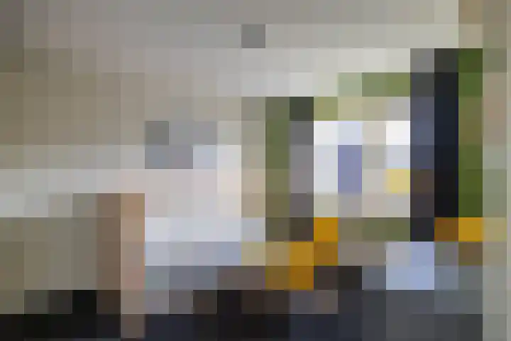 Bosbraam 37 Assen thumbnail 38
