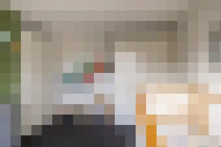 Bosbraam 37 Assen thumbnail 39