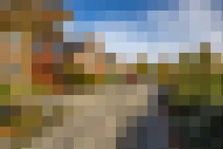 Bosbraam 37 Assen thumbnail 4