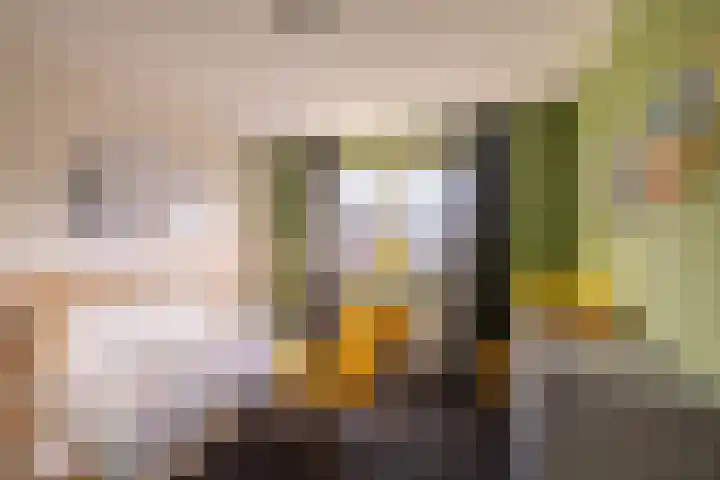 Bosbraam 37 Assen thumbnail 40