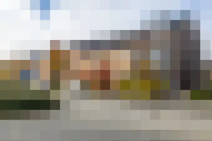 Bosbraam 37 Assen thumbnail 5