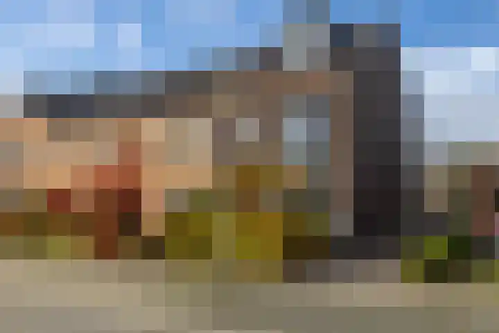 Bosbraam 37 Assen thumbnail 6