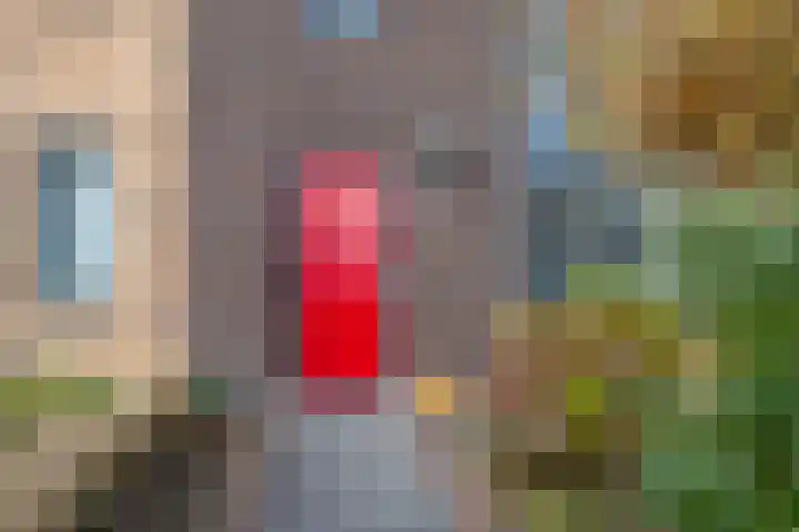 Bosbraam 37 Assen thumbnail 7