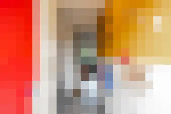 Bosbraam 37 Assen thumbnail 8
