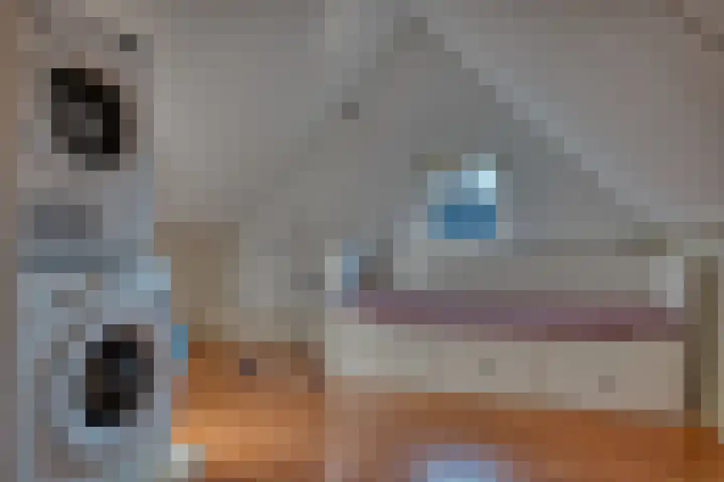 Bosch 17 B Zwijndrecht thumbnail 31