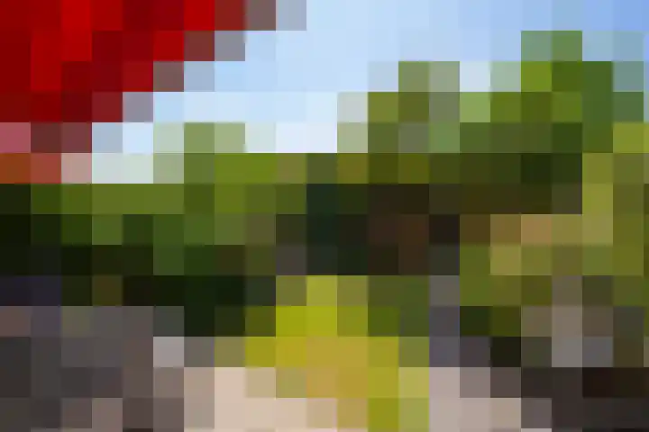 Bosch 20 Zwijndrecht thumbnail 31