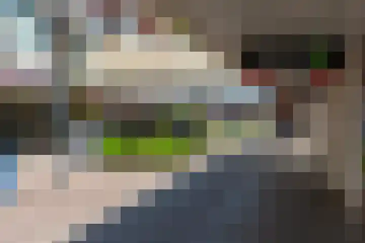 Bosch 20 Zwijndrecht thumbnail 32