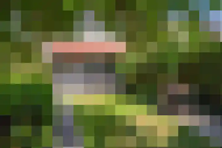 Bosch 20 Zwijndrecht thumbnail 4