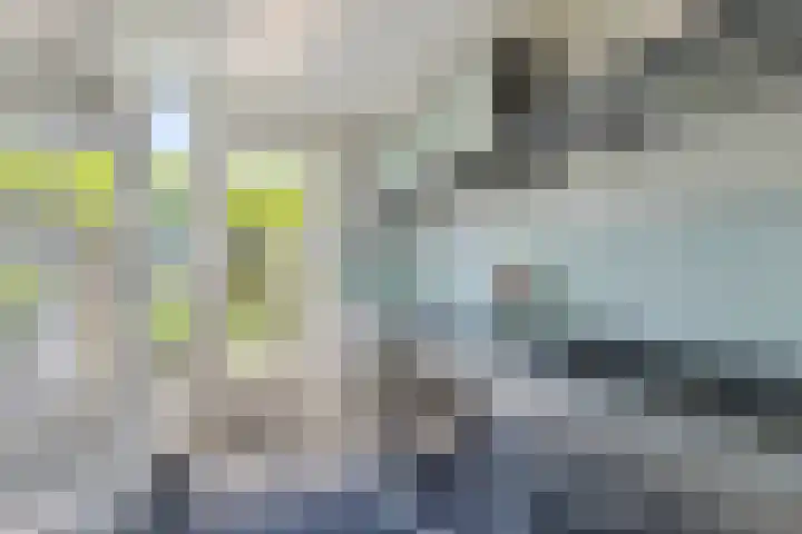 Bosch 24 Zwijndrecht thumbnail 10