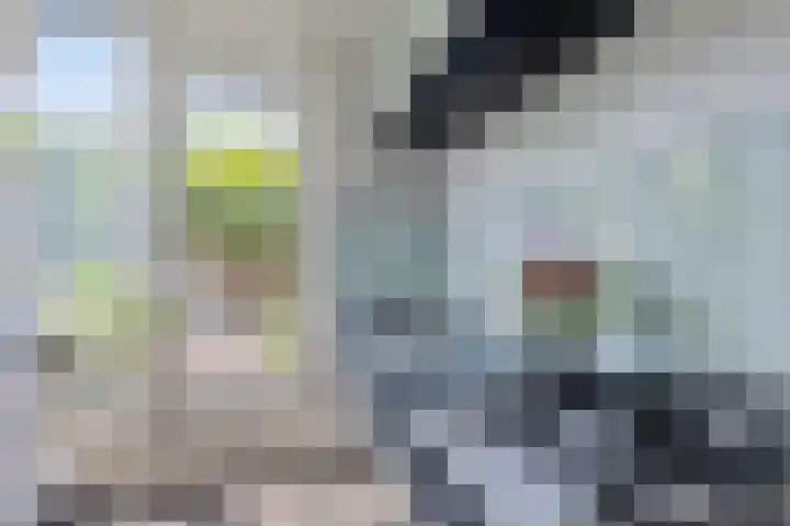 Bosch 24 Zwijndrecht thumbnail 11