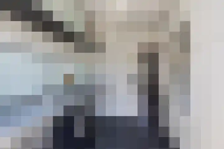 Bosch 24 Zwijndrecht thumbnail 12