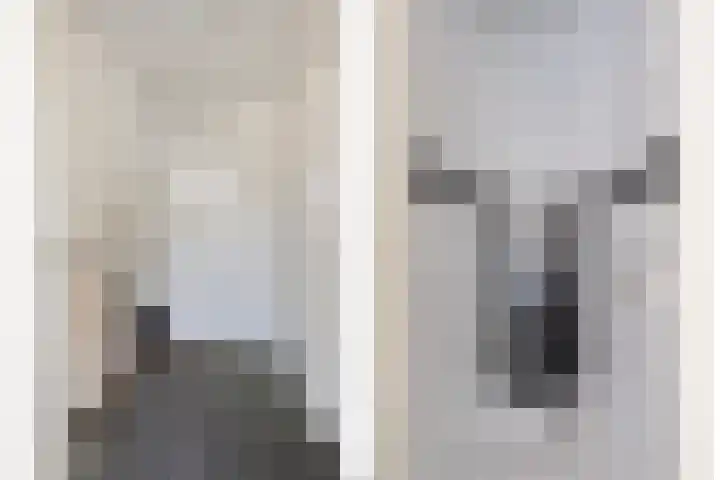Bosch 24 Zwijndrecht thumbnail 14