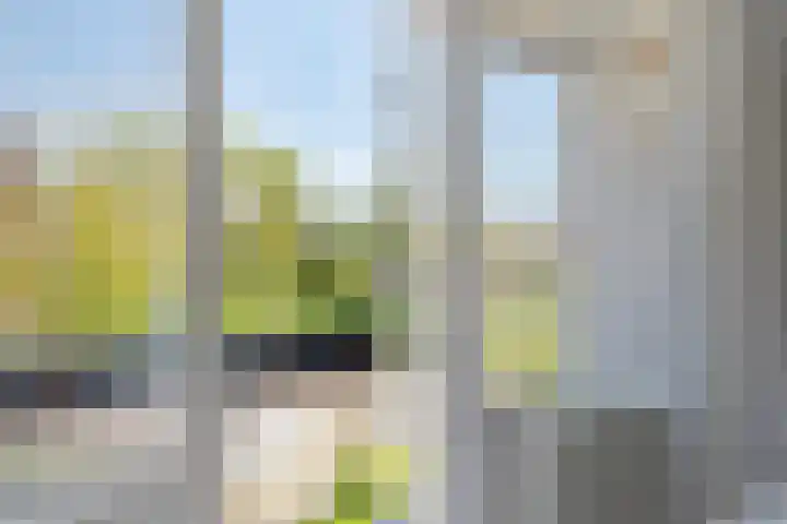 Bosch 24 Zwijndrecht thumbnail 17