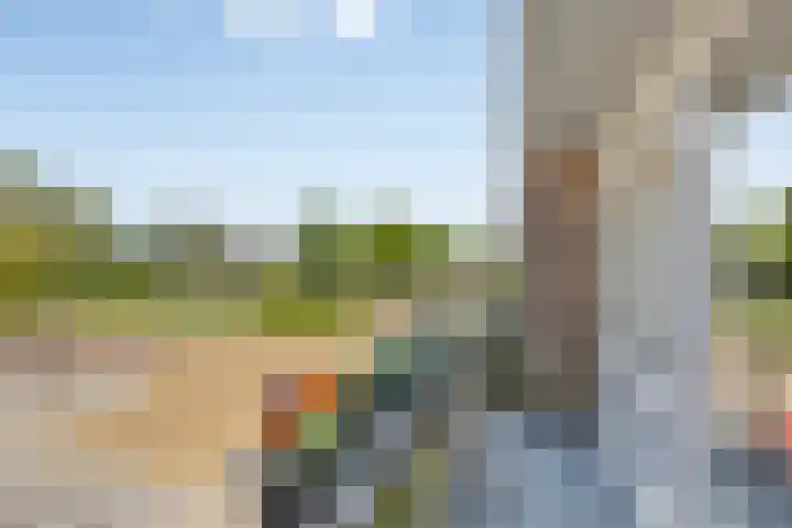 Bosch 24 Zwijndrecht thumbnail 18