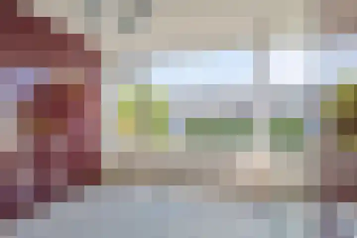 Bosch 24 Zwijndrecht thumbnail 19