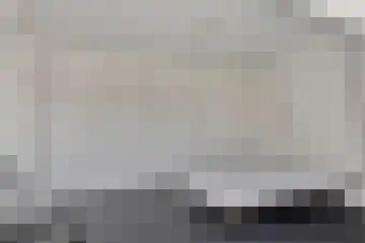 Bosch 24 Zwijndrecht thumbnail 26