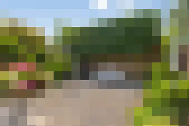 Bosch 24 Zwijndrecht thumbnail 28
