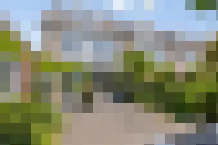Bosch 24 Zwijndrecht thumbnail 29