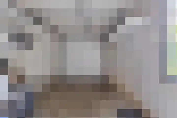 Bosch 24 Zwijndrecht thumbnail 30