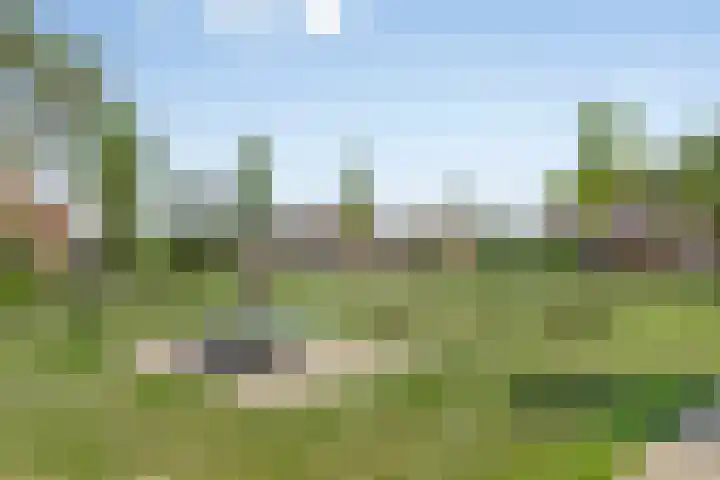 Bosch 24 Zwijndrecht thumbnail 31
