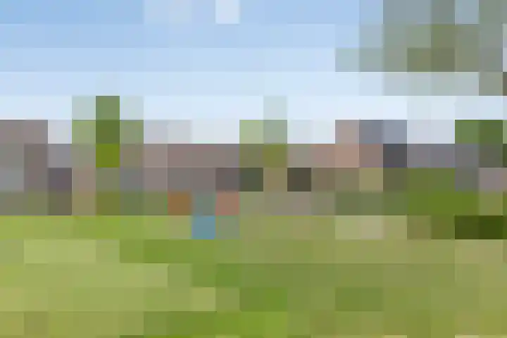 Bosch 24 Zwijndrecht thumbnail 32