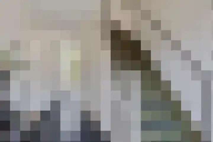 Bosch 24 Zwijndrecht thumbnail 4