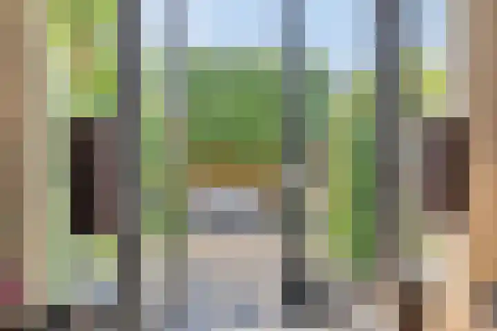 Bosch 24 Zwijndrecht thumbnail 9