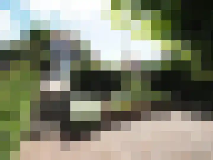 Bosch 42 Papendrecht thumbnail 10
