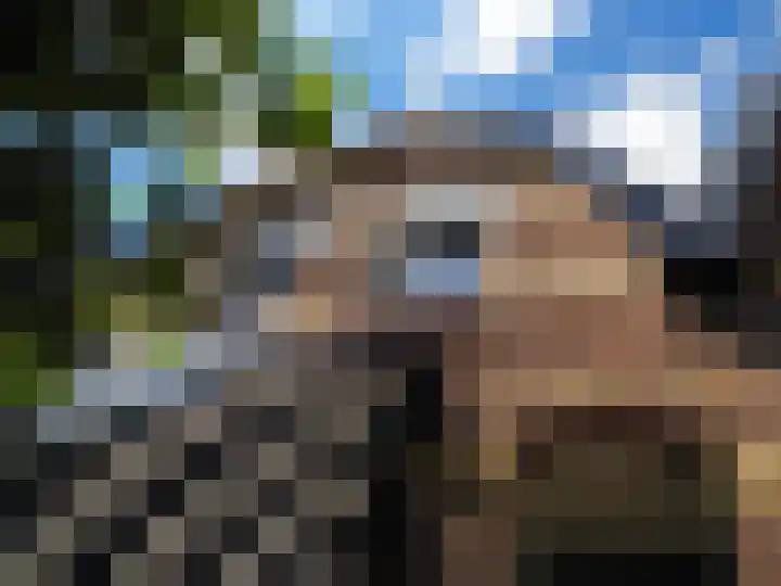 Bosch 42 Papendrecht thumbnail 16