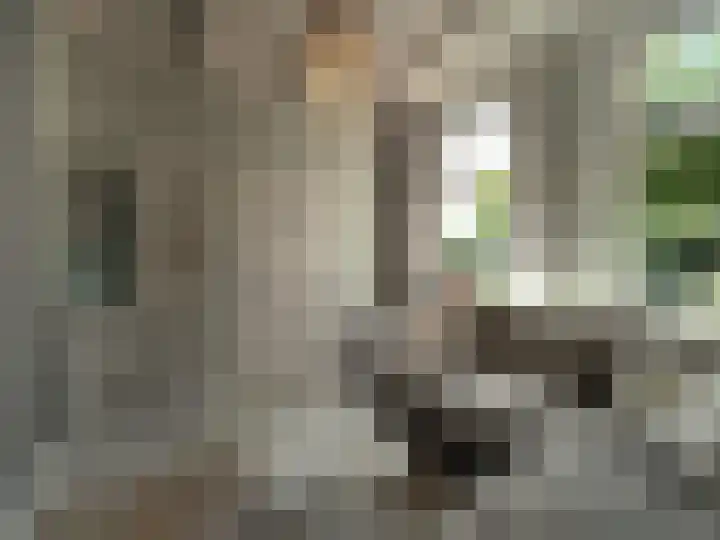 Bosch 42 Papendrecht thumbnail 22
