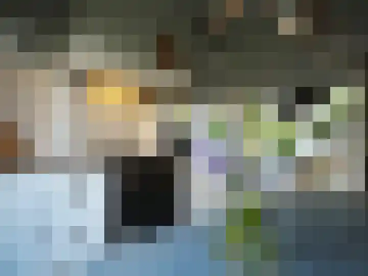 Bosch 42 Papendrecht thumbnail 32
