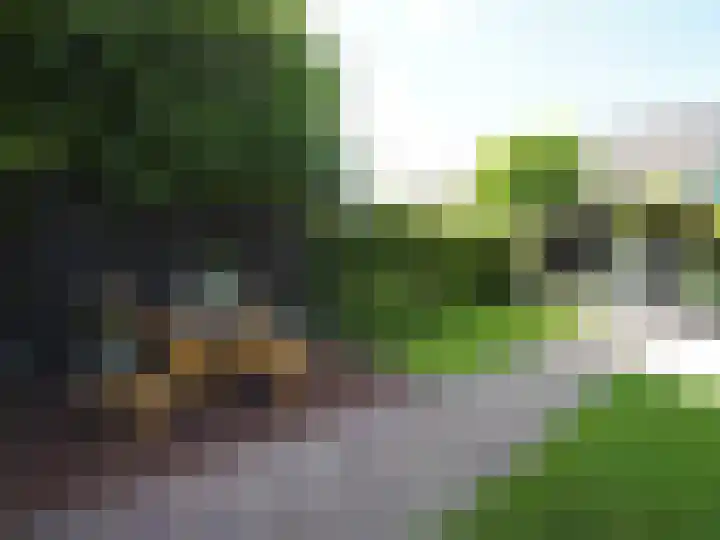 Bosch 42 Papendrecht thumbnail 4