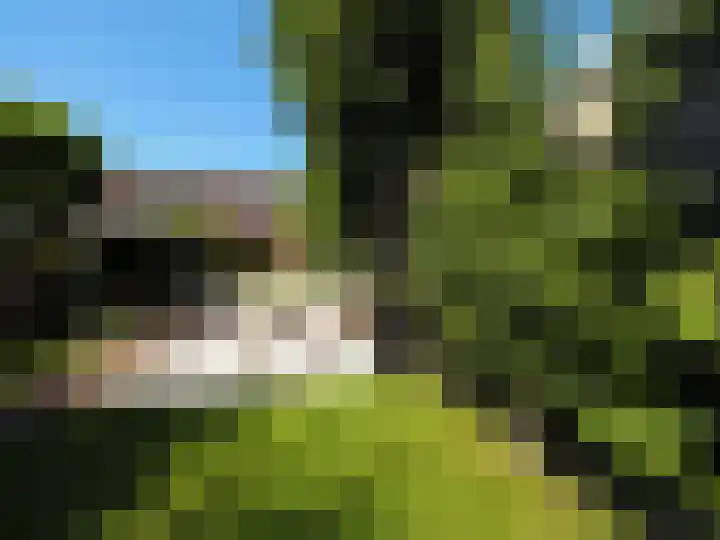 Bosch 42 Papendrecht thumbnail 6