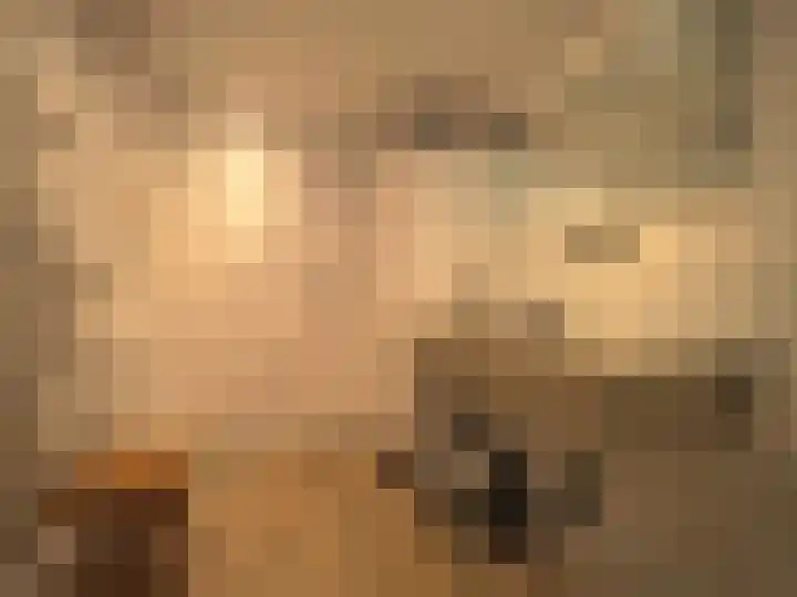 Bosch 42 Papendrecht thumbnail 61
