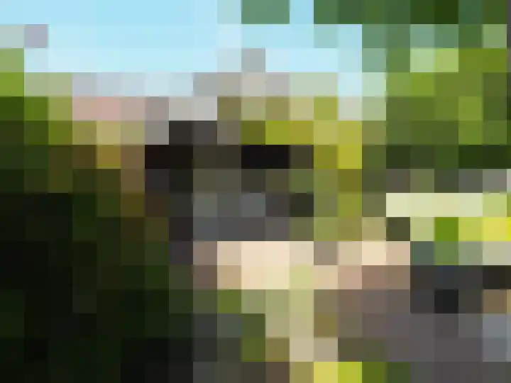Bosch 42 Papendrecht thumbnail 7