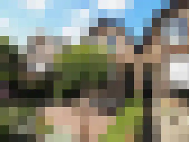 Bosch 42 Papendrecht thumbnail 8