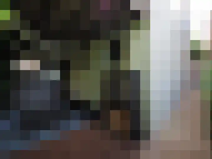 Bosch 42 Papendrecht thumbnail 81