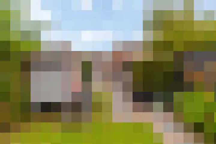 Bosch 46 Papendrecht thumbnail 37