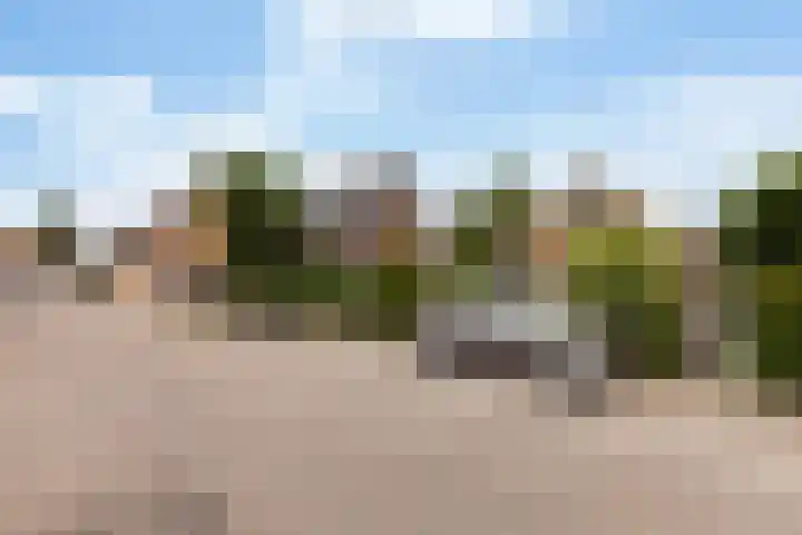 Bosch 46 Papendrecht thumbnail 42