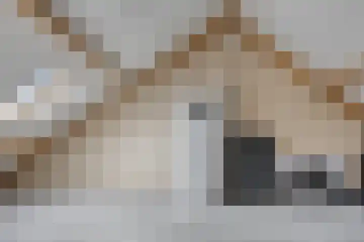 Bosch-Akker 13 Vortum-Mullem thumbnail 14
