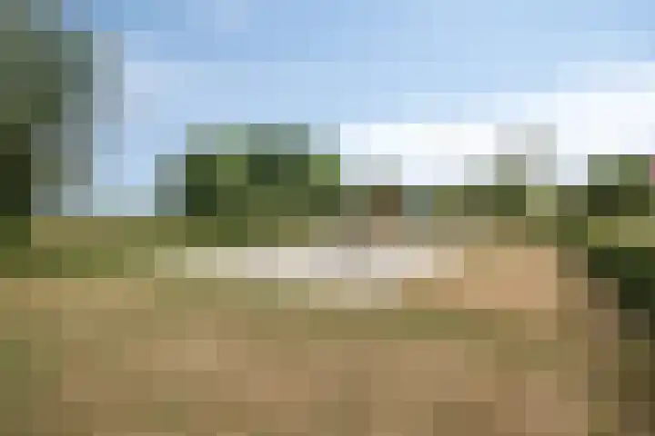 Bosch-Akker 13 Vortum-Mullem thumbnail 21