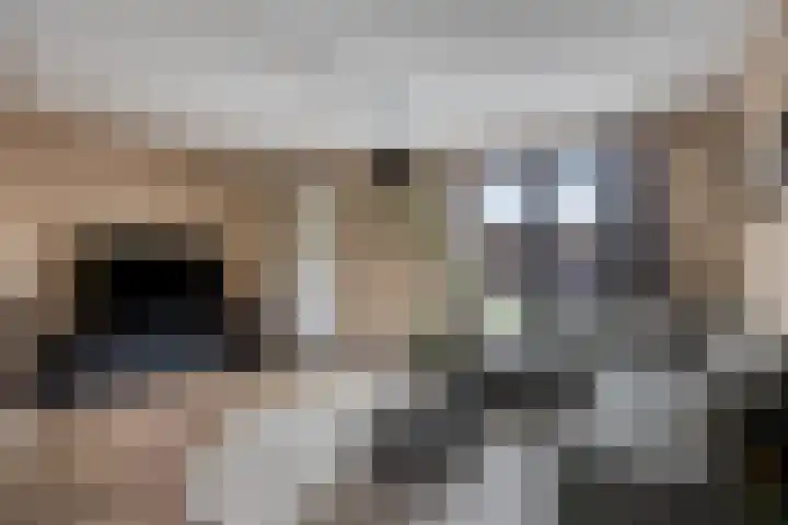Bosch-Akker 13 Vortum-Mullem thumbnail 5