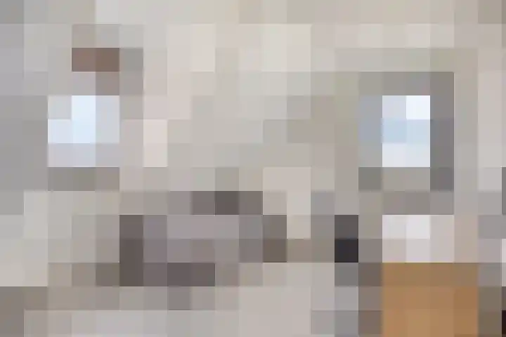 Bosch-Akker 8 Vortum-Mullem thumbnail 12