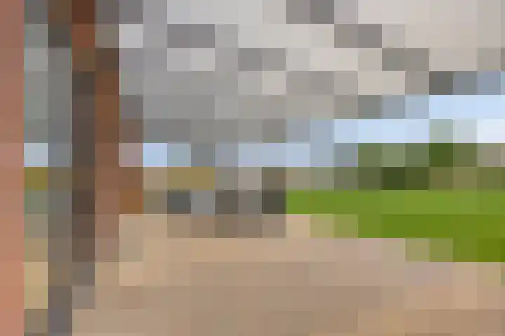 Bosch-Akker 8 Vortum-Mullem thumbnail 14