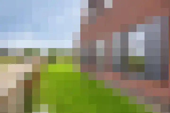 Bosch-Akker 8 Vortum-Mullem thumbnail 21