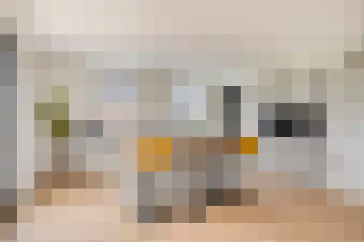 Bosch-Akker 8 Vortum-Mullem thumbnail 8