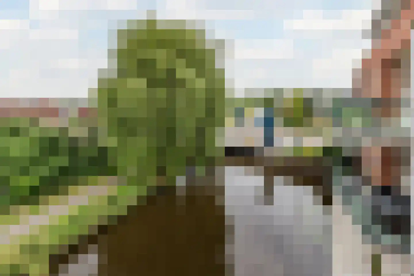 Bosch en Haven 8 Mijdrecht thumbnail 24