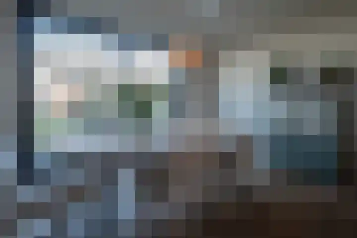 Bosch van Rosenthalstraat 2 Groningen thumbnail 17