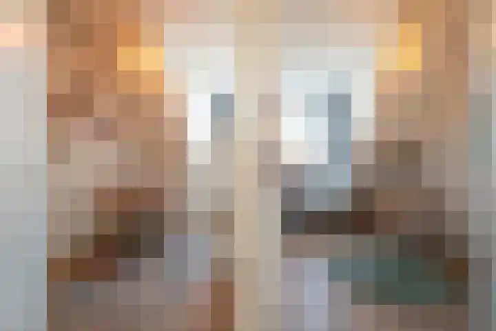 Bosch van Rosenthalstraat 2 Groningen thumbnail 27