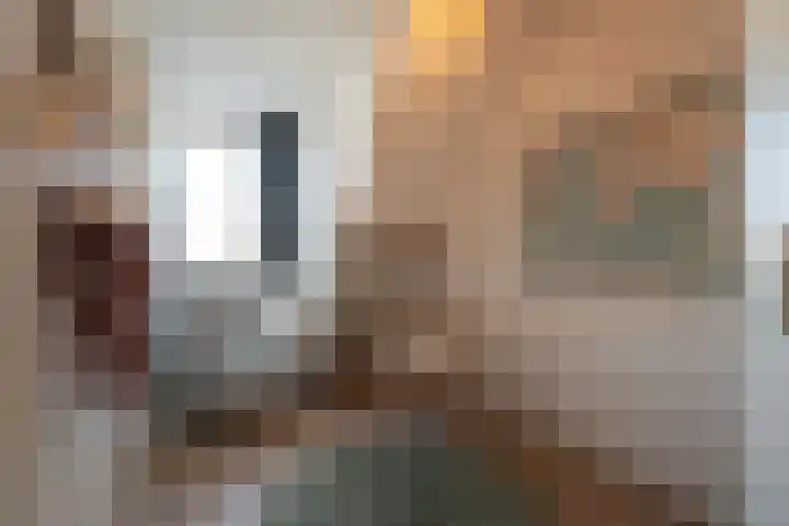 Bosch van Rosenthalstraat 2 Groningen thumbnail 28